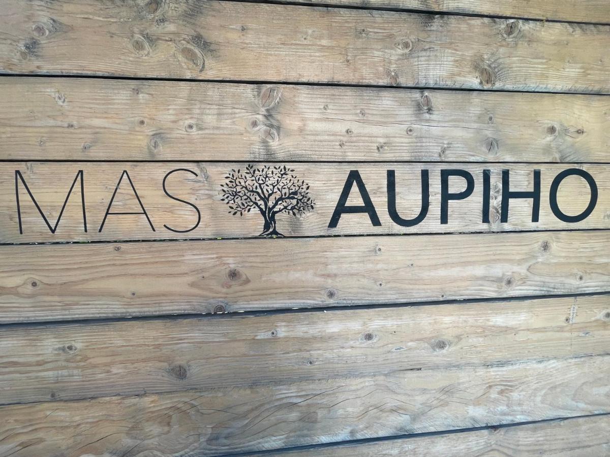 Mas Aupiho Villa Saint-Remy-de-Provence Bagian luar foto